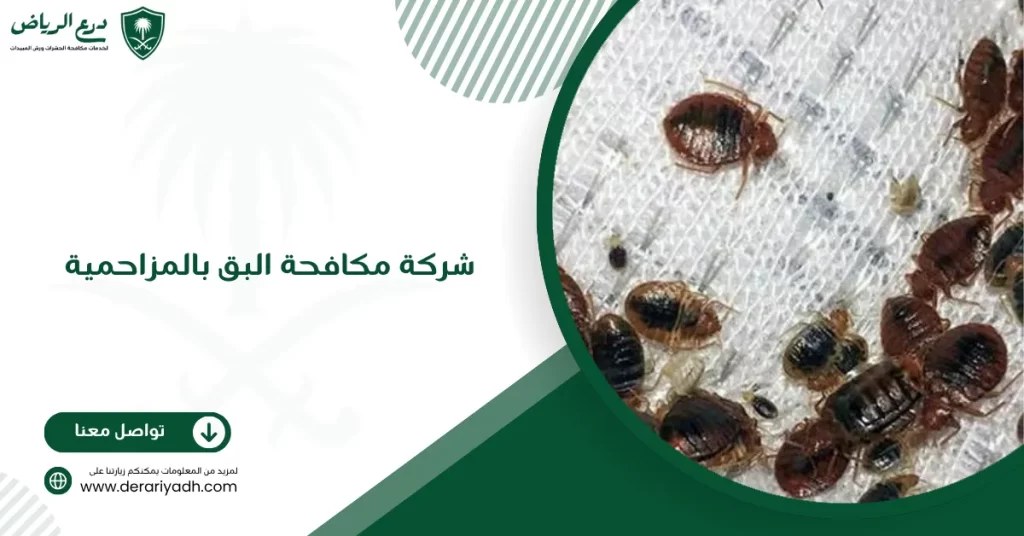 شركة مكافحة البق بالمزاحمية
