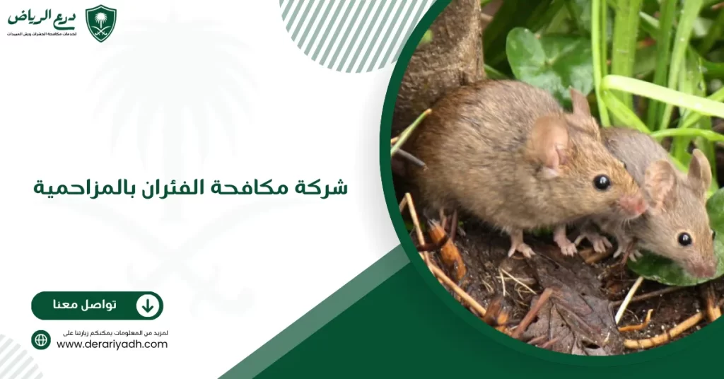 شركة مكافحة الفئران بالمزاحمية
