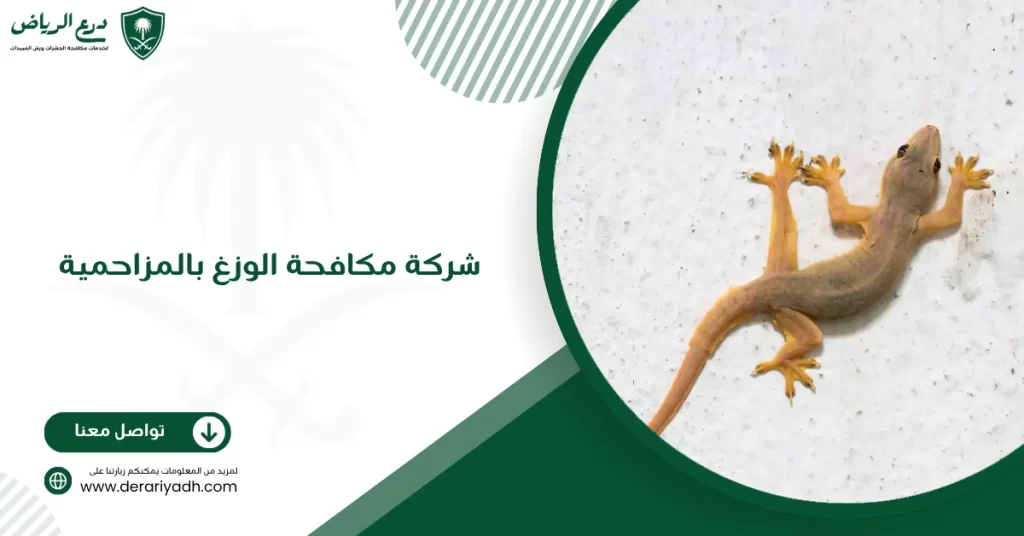 شركة مكافحة الوزغ بالمزاحمية