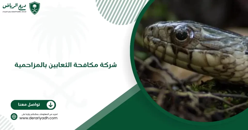 شركة مكافحة الثعابين بالمزاحمية