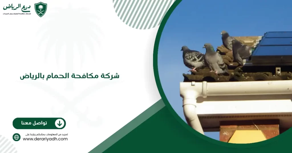 شركة مكافحة الحمام بالرياض
