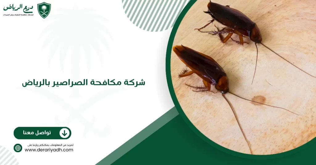 شركة مكافحة الصراصير بالرياض