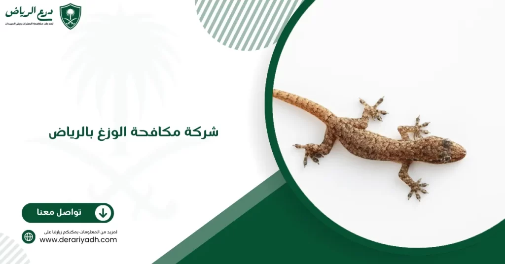 شركة مكافحة الوزغ بالرياض