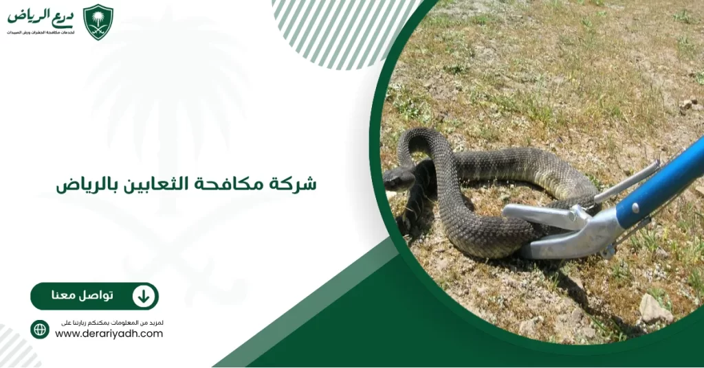 شركة مكافحة الثعابين بالرياض