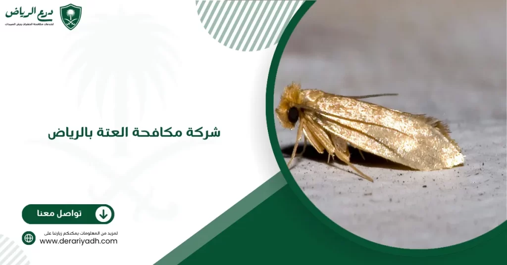 شركة مكافحة العتة بالرياض