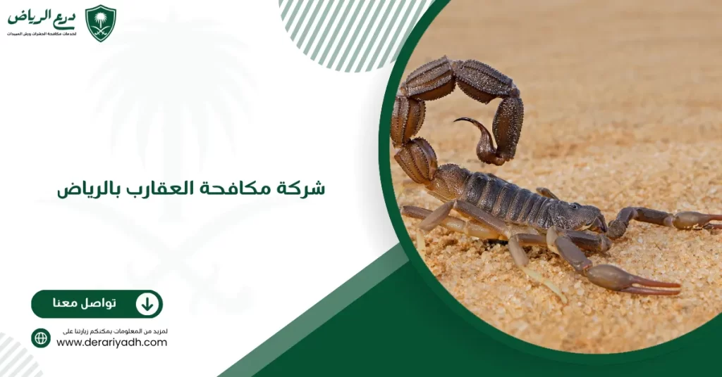 شركة مكافحة العقارب بالرياض