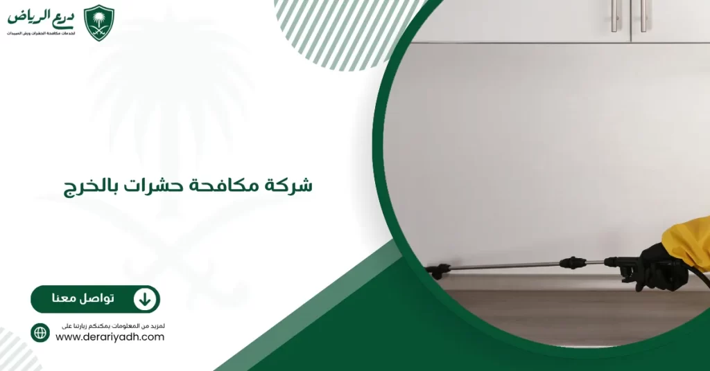 شركة مكافحة حشرات بالخرج