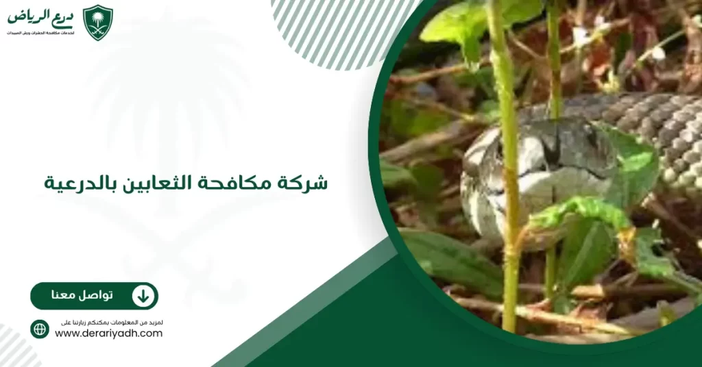 شركة مكافحة الثعابين بالدرعية