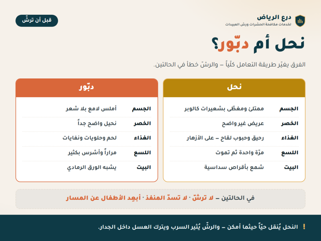 مقارنة بين النحل والدبّور: الجسم والخصر والغذاء واللسع وشكل البيت