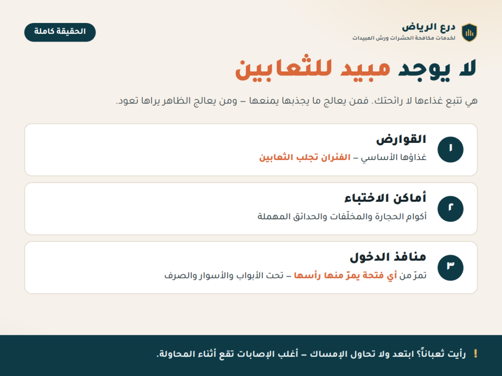 ثلاثة أسباب لظهور الثعابين قرب المنازل: القوارض وأماكن الاختباء ومنافذ الدخول